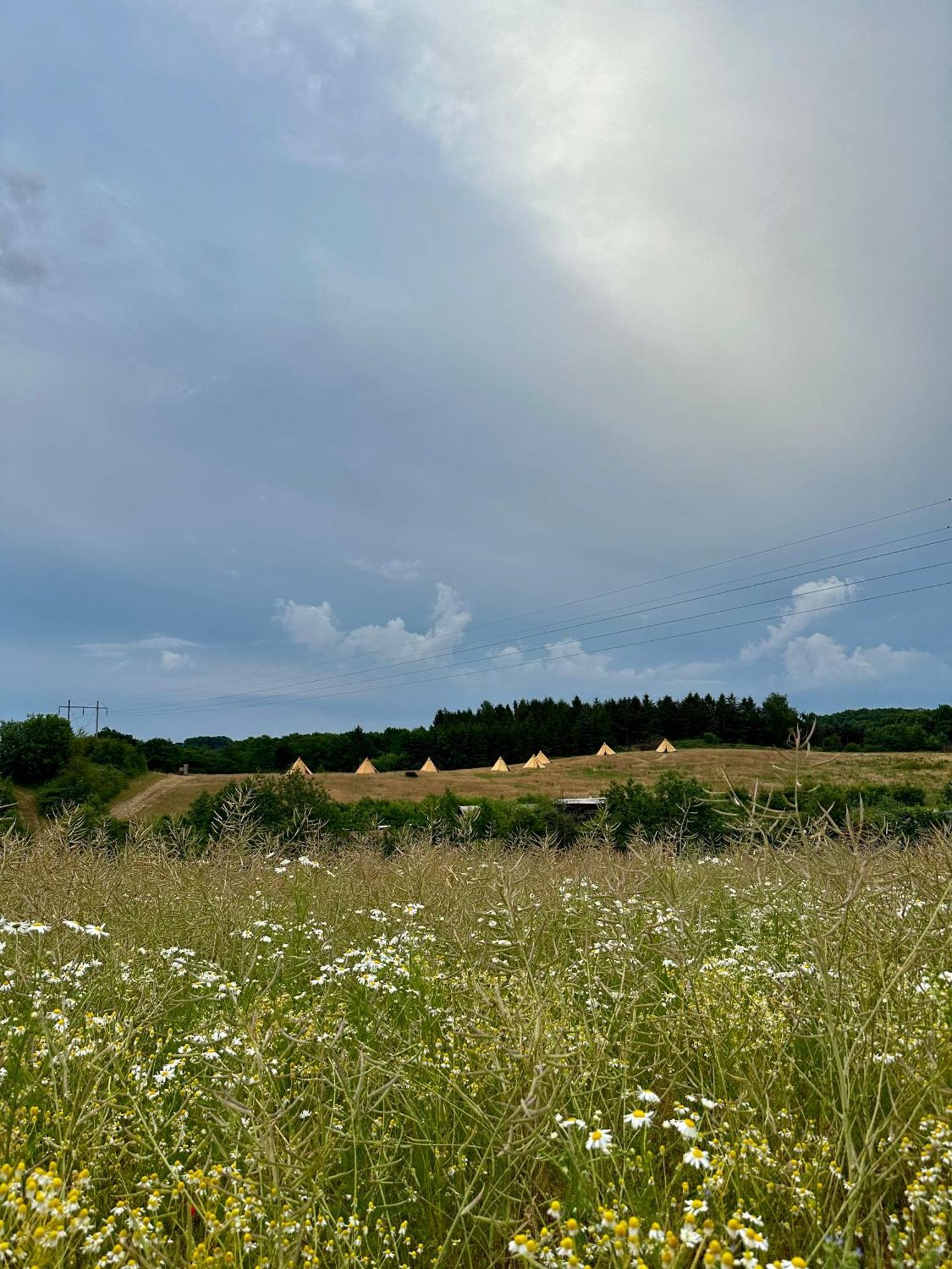 Krusmolle Glamping Hotel Aabenraa Exterior foto